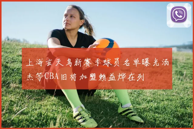 上海玄天鸟新赛季球员名单曝光汤杰等CBA旧将加盟赖益烨在列