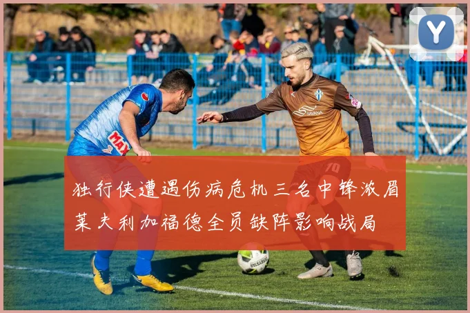 独行侠遭遇伤病危机三名中锋浓眉莱夫利加福德全员缺阵影响战局